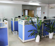 �F�������Ʒ